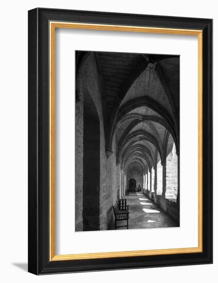 chartreuse Val de Bénédiction, cloister, cloister, Villeneuve lès Avignon, -Klaus Neuner-Framed Photographic Print