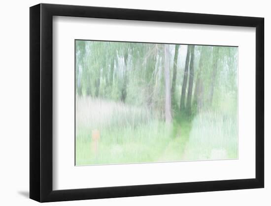 Chasing Shadows-Jacob Berghoef-Framed Photographic Print