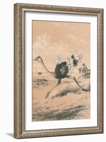 Chasing the Ostrich, c1880-null-Framed Giclee Print