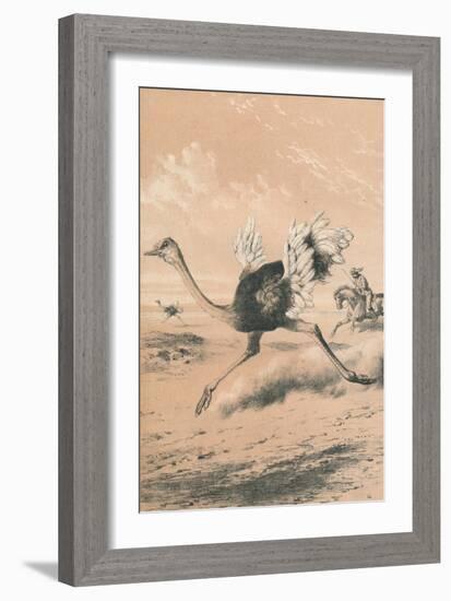 Chasing the Ostrich, c1880-null-Framed Giclee Print