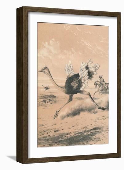 Chasing the Ostrich, c1880-null-Framed Giclee Print