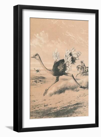 Chasing the Ostrich, c1880-null-Framed Giclee Print