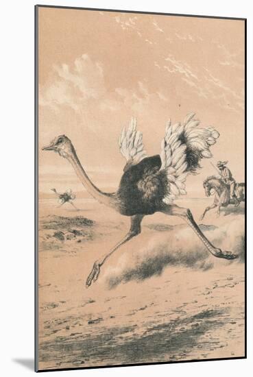 Chasing the Ostrich, c1880-null-Mounted Giclee Print