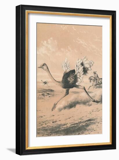 Chasing the Ostrich, c1880-null-Framed Giclee Print