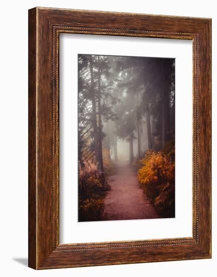 Chasing the Winds of Fall-Philippe Sainte-Laudy-Framed Photographic Print