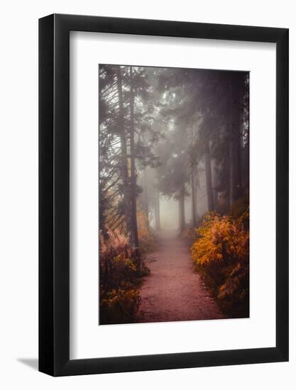 Chasing the Winds of Fall-Philippe Sainte-Laudy-Framed Photographic Print