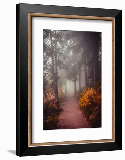 Chasing the Winds of Fall-Philippe Sainte-Laudy-Framed Photographic Print