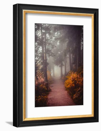 Chasing the Winds of Fall-Philippe Sainte-Laudy-Framed Photographic Print
