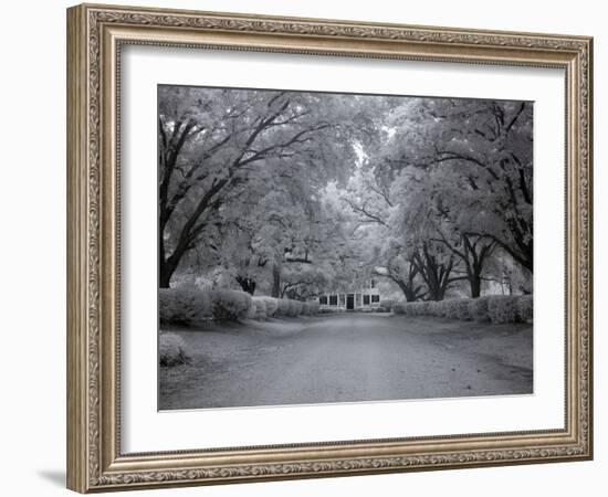 Chasley, Monroe County, Alabama-Carol Highsmith-Framed Photo