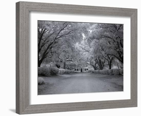 Chasley, Monroe County, Alabama-Carol Highsmith-Framed Photo