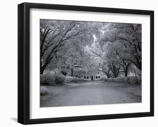 Chasley, Monroe County, Alabama-Carol Highsmith-Framed Photo