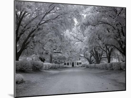 Chasley, Monroe County, Alabama-Carol Highsmith-Mounted Photo