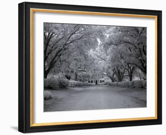 Chasley, Monroe County, Alabama-Carol Highsmith-Framed Photo