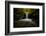 chasm-falls-1-Lincoln Harrison-Framed Photo