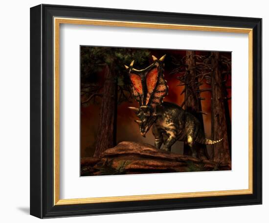 Chasmosaurus Was a Ceratopsid Dinosaur from the Upper Cretaceous Period-null-Framed Art Print