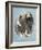 Chasseur-Barbara Keith-Framed Giclee Print