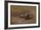 Chat Mangeant by Eugene Carriere-Eugene Carriere-Framed Giclee Print