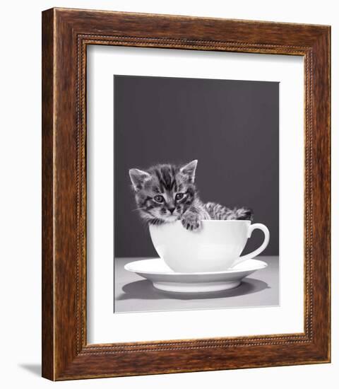 Chat-Tasse-null-Framed Art Print