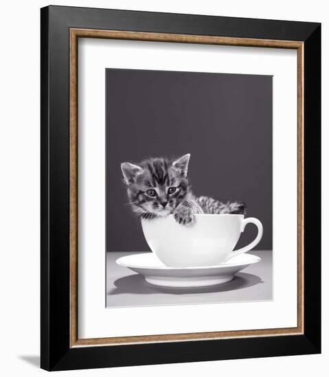 Chat-Tasse-null-Framed Art Print