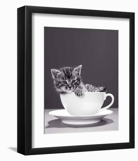 Chat-Tasse-null-Framed Art Print