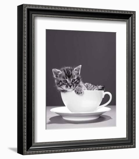 Chat-Tasse-null-Framed Art Print