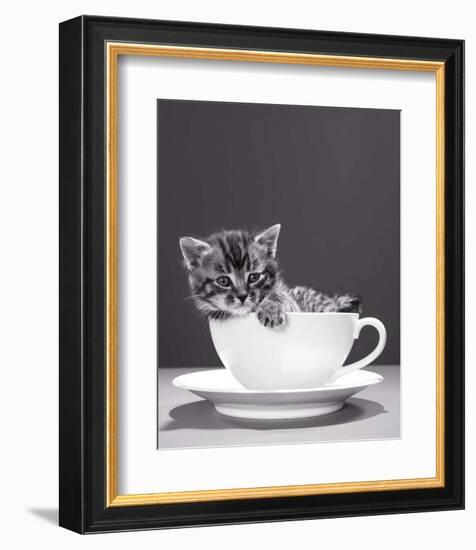 Chat-Tasse-null-Framed Art Print