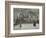 Châtaigniers à Louveciennes-Camille Pissarro-Framed Giclee Print