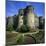 Chateau D'Angers, Angers, Loire Valley, Pays-De-La-Loire, France, Europe-Stuart Black-Mounted Photographic Print