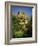 Chateau De Beynac, River Dordogne, Dordogne, Aquitaine, France, Europe-David Hughes-Framed Photographic Print