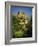 Chateau De Beynac, River Dordogne, Dordogne, Aquitaine, France, Europe-David Hughes-Framed Photographic Print