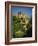 Chateau De Beynac, River Dordogne, Dordogne, Aquitaine, France, Europe-David Hughes-Framed Photographic Print