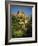 Chateau De Beynac, River Dordogne, Dordogne, Aquitaine, France, Europe-David Hughes-Framed Photographic Print