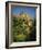 Chateau De Beynac, River Dordogne, Dordogne, Aquitaine, France, Europe-David Hughes-Framed Photographic Print