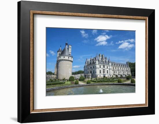 Chateau de Chenonceau, Chenonceaux, France-Jim Engelbrecht-Framed Photographic Print