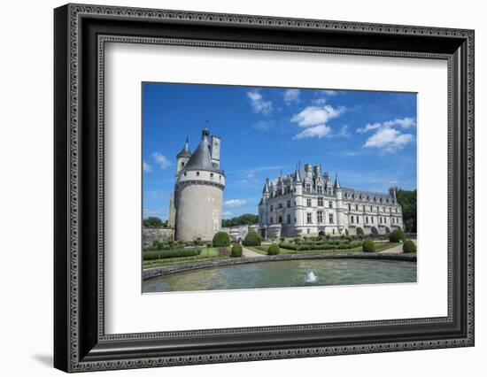 Chateau de Chenonceau, Chenonceaux, France-Jim Engelbrecht-Framed Photographic Print