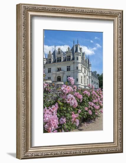 Chateau de Chenonceau, Chenonceaux, France-Lisa S. Engelbrecht-Framed Photographic Print