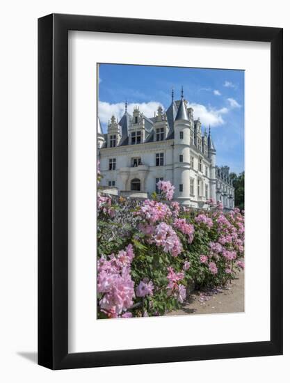 Chateau de Chenonceau, Chenonceaux, France-Lisa S. Engelbrecht-Framed Photographic Print