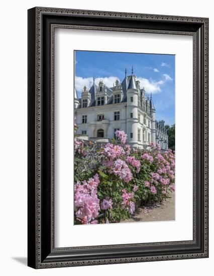 Chateau de Chenonceau, Chenonceaux, France-Lisa S. Engelbrecht-Framed Photographic Print