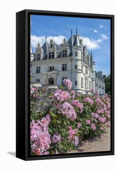 Chateau de Chenonceau, Chenonceaux, France-Lisa S. Engelbrecht-Framed Premier Image Canvas