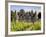 Chateau De Monbazillac, Monbazillac, Dordogne, France, Europe-Peter Richardson-Framed Photographic Print