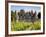 Chateau De Monbazillac, Monbazillac, Dordogne, France, Europe-Peter Richardson-Framed Photographic Print