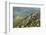 Chateau De Peyrepertuse, a Cathar Castle, Languedoc, France, Europe-Tony Waltham-Framed Photographic Print