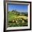 Chateau De Polignac and Hay Bales, Polignac, Haute-Loire, Auvergne, France-Stuart Black-Framed Photographic Print