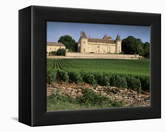 Chateau De Rully, Near Chalon Sur Soane, Bourgogne (Burgundy), France-Michael Busselle-Framed Premier Image Canvas