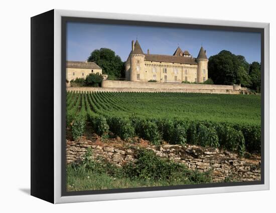 Chateau De Rully, Near Chalon Sur Soane, Bourgogne (Burgundy), France-Michael Busselle-Framed Premier Image Canvas