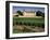 Chateau De Rully, Near Chalon Sur Soane, Bourgogne (Burgundy), France-Michael Busselle-Framed Photographic Print