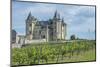 Chateau de Saumur, Saumur, Loire Valley, France-Jim Engelbrecht-Mounted Photographic Print