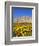 Chateau De Versailles, Ile De France, France, Europe-Guy Thouvenin-Framed Photographic Print