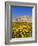 Chateau De Versailles, Ile De France, France, Europe-Guy Thouvenin-Framed Photographic Print