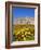 Chateau De Versailles, Ile De France, France, Europe-Guy Thouvenin-Framed Photographic Print